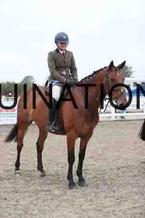 LIZ-1278