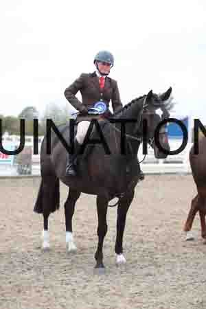 LIZ-1282