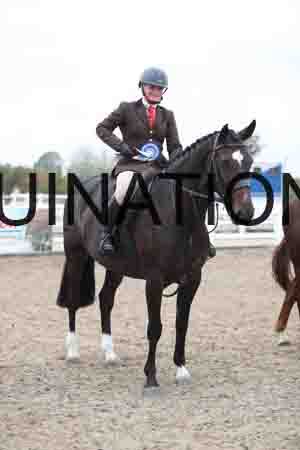 LIZ-1284
