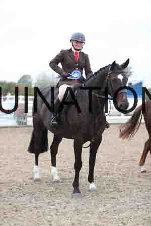 LIZ-1285