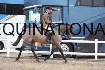 LIZ-1292