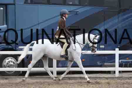 LIZ-1297