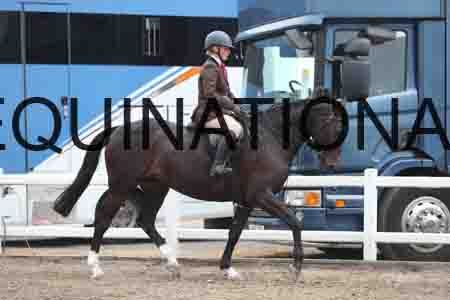 LIZ-1298