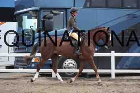 LIZ-1302
