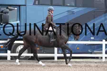 LIZ-1311
