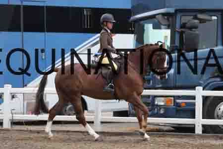 LIZ-1316