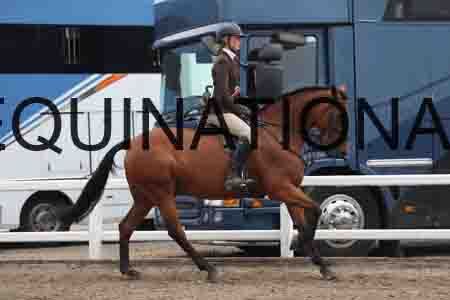 LIZ-1320
