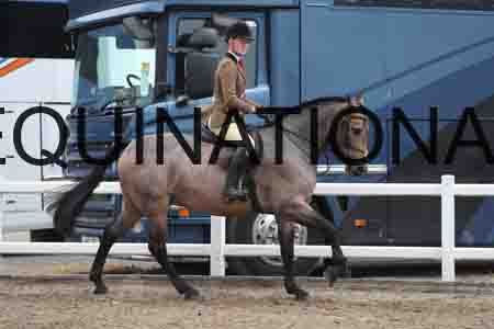 LIZ-1322