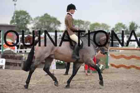 LIZ-1324