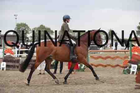 LIZ-1325