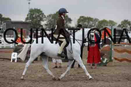 LIZ-1327