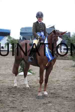 LIZ-1346