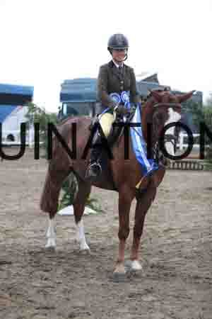 LIZ-1347