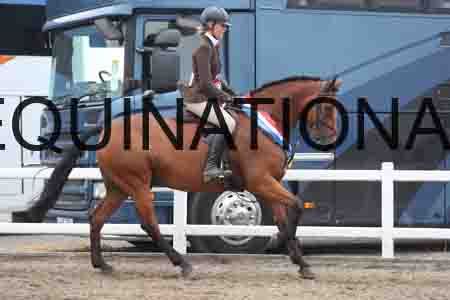 LIZ-1349