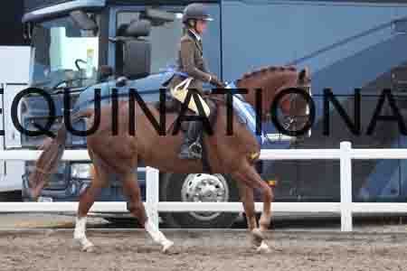 LIZ-1352