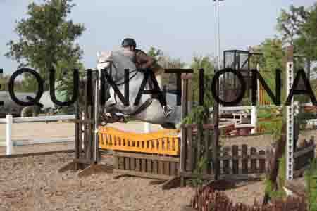 SOP-1039