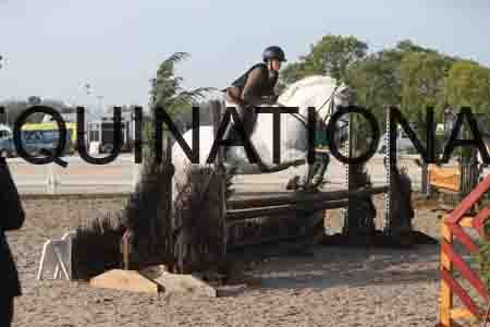 SOP-1041