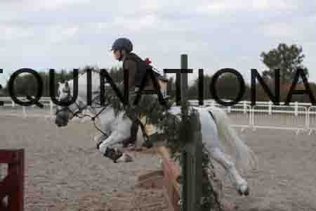 SOP-1810