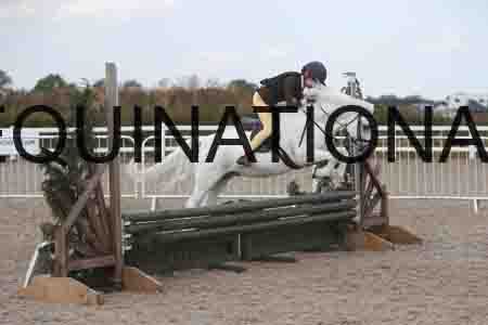 SOP-1813
