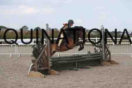 SOP-1821