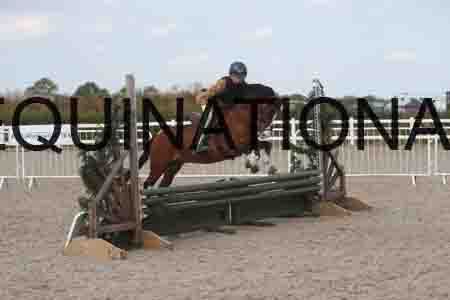 SOP-1828