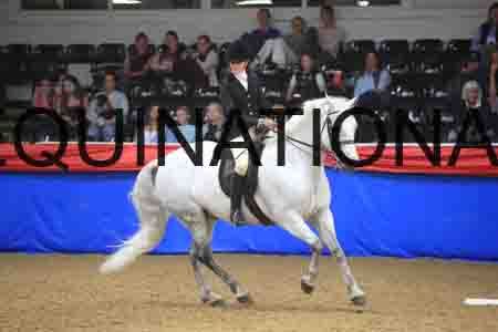 ZSC-1097