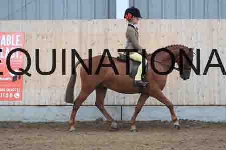 CZM-2441