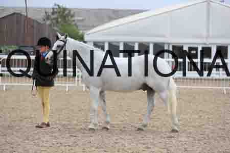 1_JRK-1513
