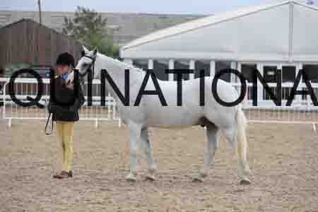 1_JRK-1514
