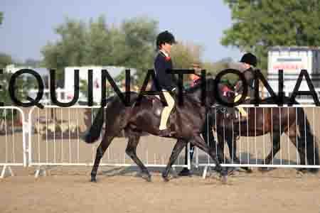 JRK-1039