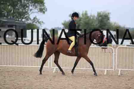JRK-1179