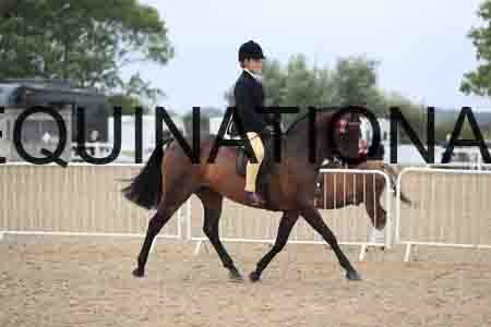 JRK-1183