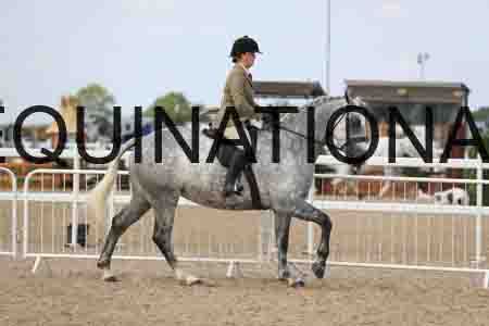 JRK-2184