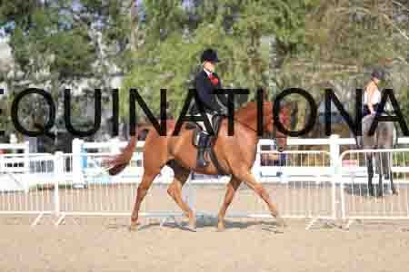 JRK-2298