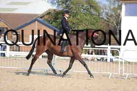 JRK-2310