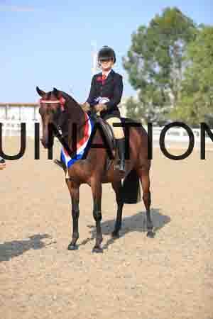 JRK-2336