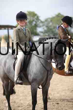 CHA-2006
