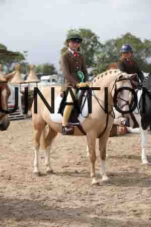CHA-2013