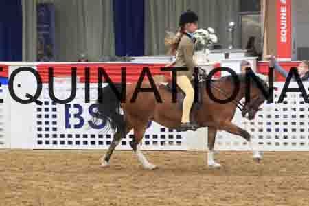 ATC-1169