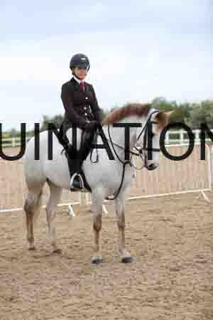 SKO-1631