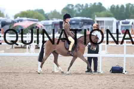VAB-1499