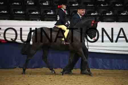 JAR-1600