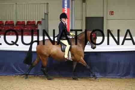 JAR-1875