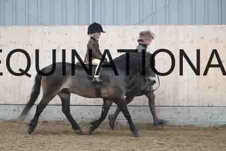 RXD-1034