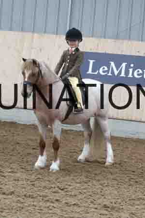 RXD-1205