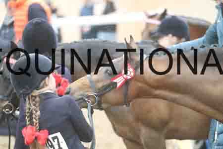 RXD-1580