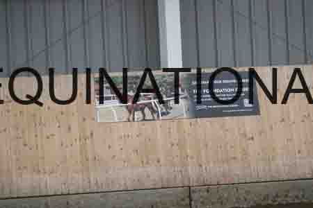 RXD-1736