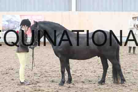RXD-2547