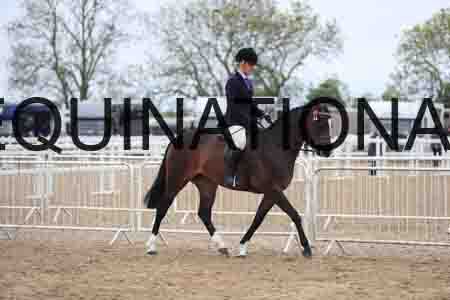 1_MAN-1144