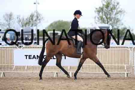 1_MAN-1179